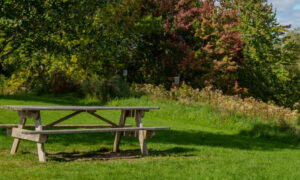 Gilsland Farm Audobon Center, Photo Credits: Serena Folding