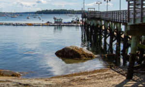 Falmouth Town Landing, Photo Credits: Serena Folding