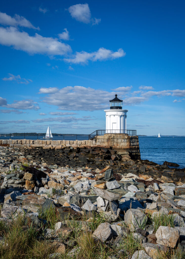 Bug Light, Photo Credits: Serena Folding