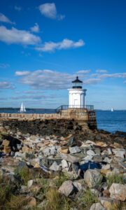 Bug Light, Photo Credits: Serena Folding