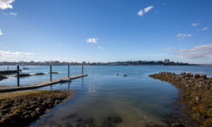 Bug Light Boat Ramp, Photo Credits: Serena Folding