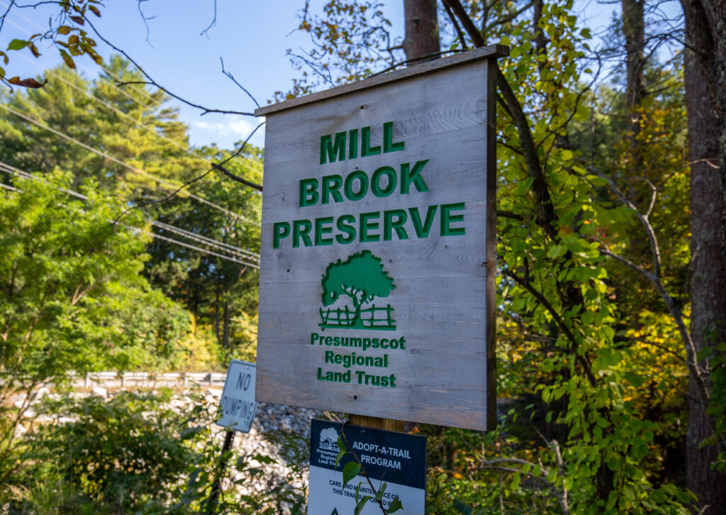 Mill Brook Preserve, Photo Credits: Serena Folding