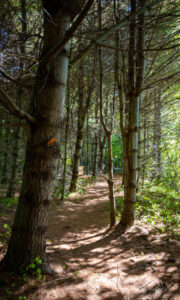 Pride Preserve, Photo Credits: Serena Folding