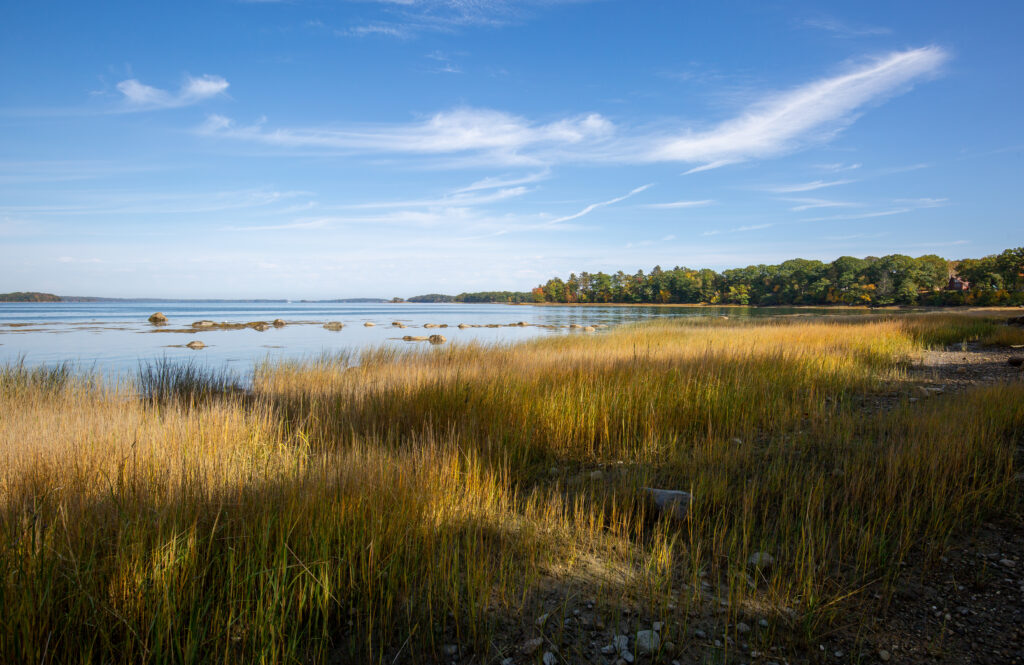 Cousins Island, Photo Credits: Serena Folding