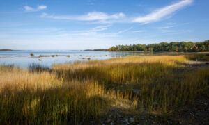 Cousins Island, Photo Credits: Serena Folding