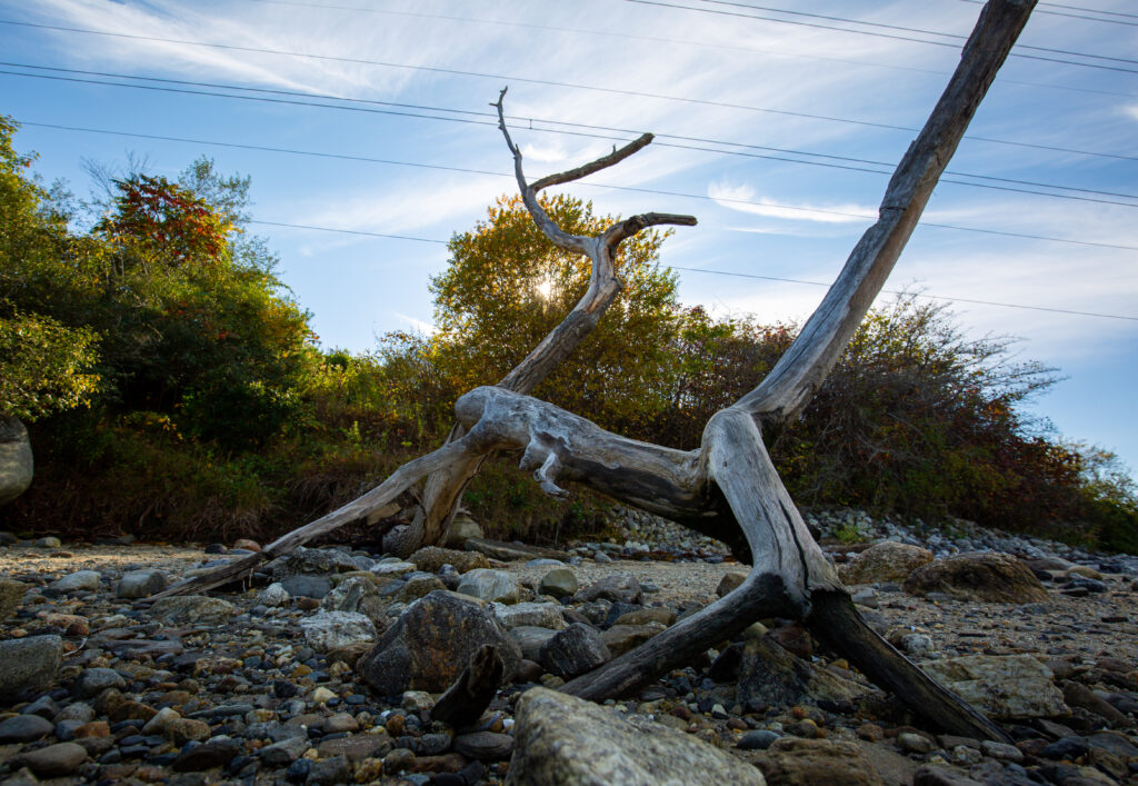 Cousins Island, Photo Credits: Serena Folding