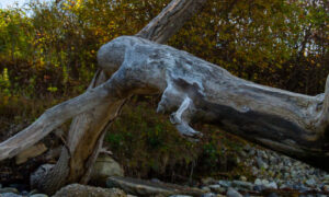 Cousins Island, Photo Credits: Serena Folding