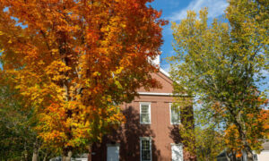 Main Street Yarmouth, Photo Credits: Serena Folding