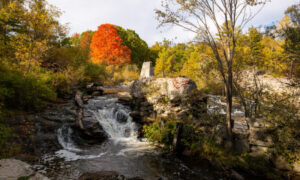 Royal River Park, Photo Credits: Serena Folding