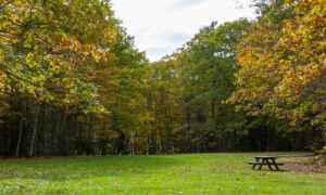 Wolfe's Neck State Park Photo Credits: Serena Folding
