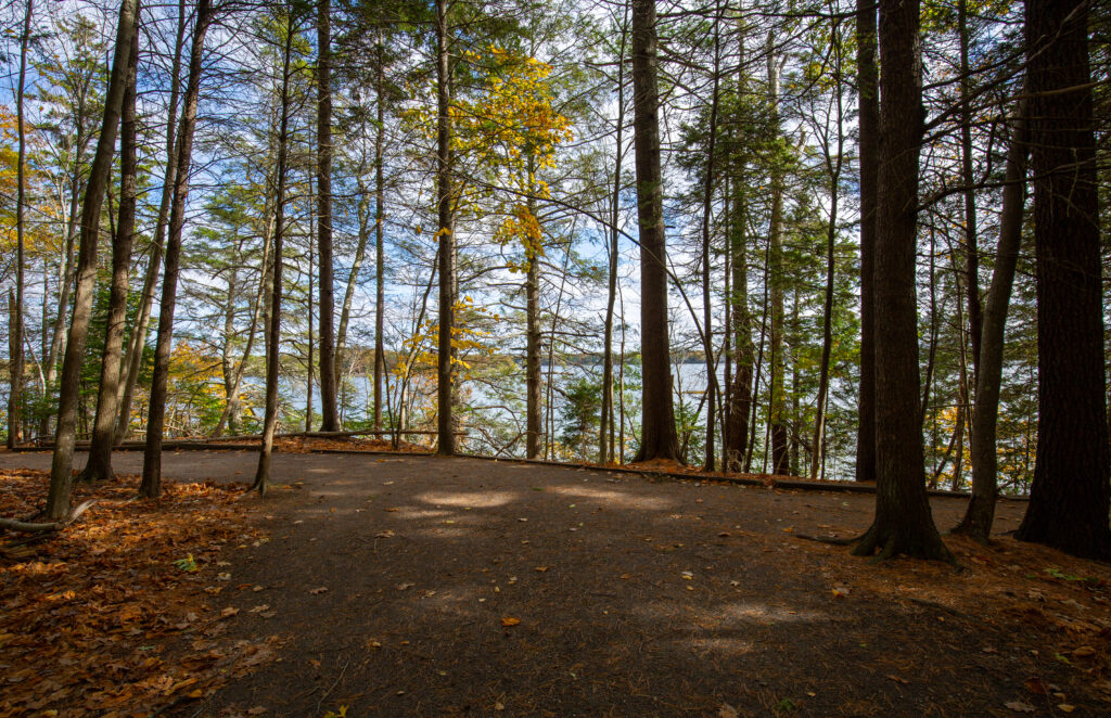 Wolfe's Neck State Park Photo Credits: Serena Folding