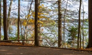 Wolfe's Neck State Park Photo Credits: Serena Folding