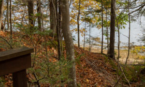 Wolfe's Neck State Park Photo Credits: Serena Folding