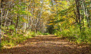 Mast Landing Audobon Sanctuary, Photo Credits: Serena Folding