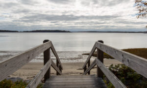 Winslow Memorial Park Photo Credits: Serena Folding