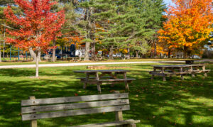 Winslow Memorial Park Photo Credits: Serena Folding