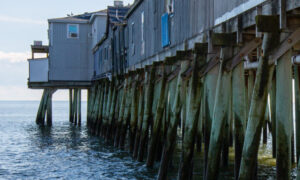 Old Orchard Beach, Photo Credits: Serena Folding