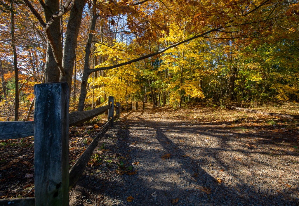 Hinckley Park, Photo Credits: Serena Folding