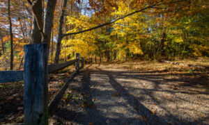 Hinckley Park, Photo Credits: Serena Folding