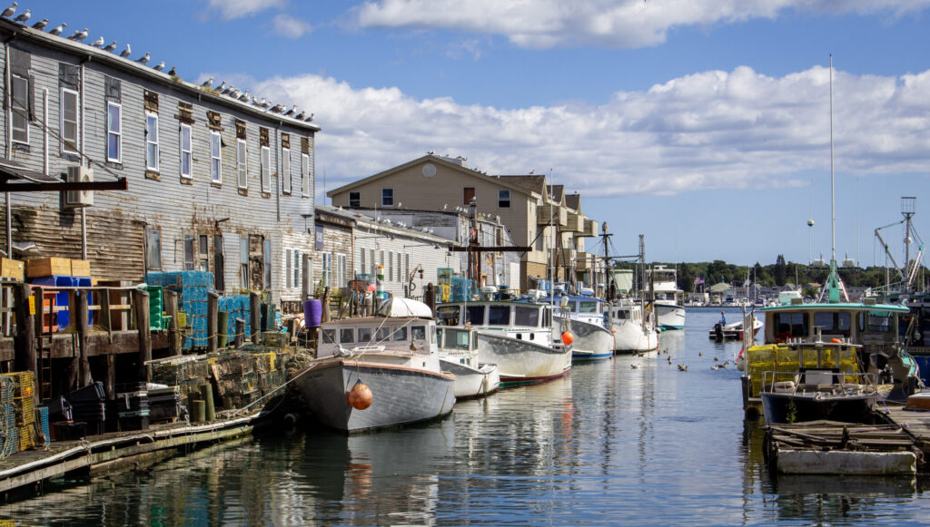 Portland Working Waterfront, Photo Credits: Serena Folding