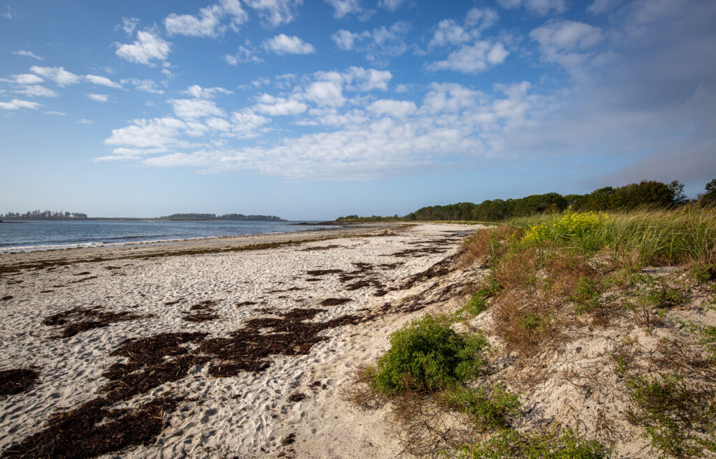 Crescent Beach, Photo Credits: Serena Folding