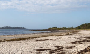 Crescent Beach, Photo Credits: Serena Folding
