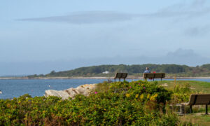 Kettle Cove Beach, Photo Credits: Serena Folding