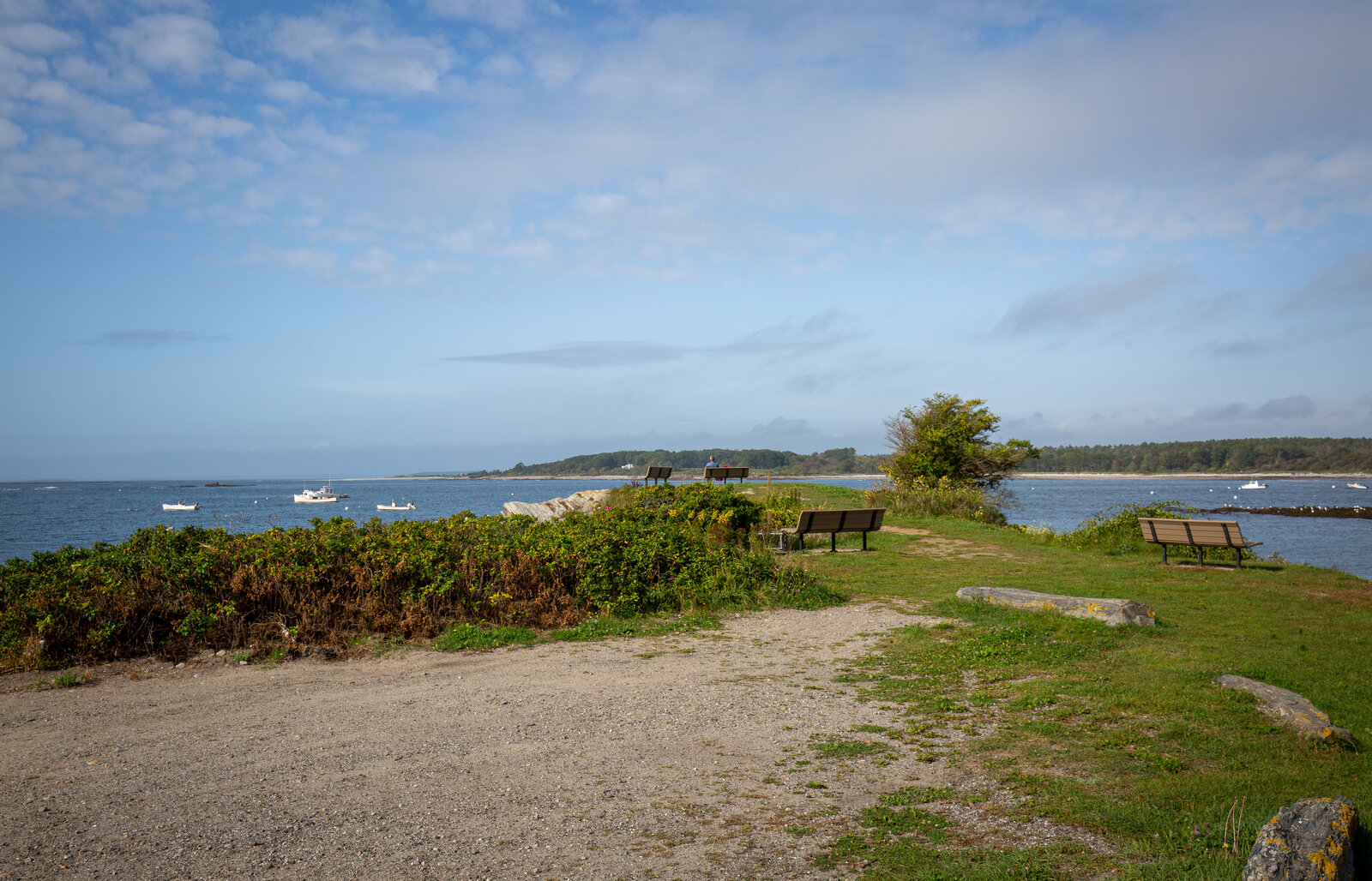 A scenic coastal path with benches overlooking the ocean under a blue sky in Portland Maine.