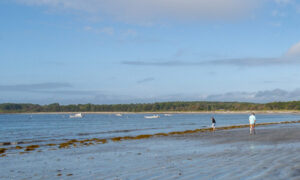 Kettle Cove Beach, Photo Credits: Serena Folding