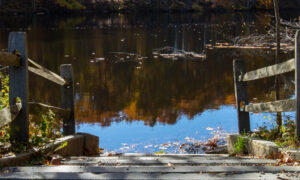 Hinckley Park, Photo Credits: Serena Folding