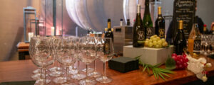 Cellardoor Winery Glasses Lined-up, Photo Credit: Serena Folding