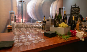 Cellardoor Winery Glasses Lined-up, Photo Credit: Serena Folding