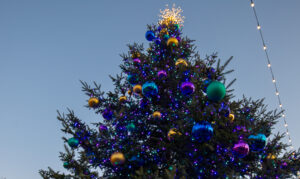 L. L. Bean Northern Lights, Photo Credits: Serena Folding