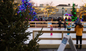 L. L. Bean Northern Lights, Photo Credits: Serena Folding