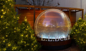 L. L. Bean Northern Lights, Photo Credits: Serena Folding