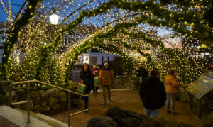 L. L. Bean Northern Lights, Photo Credits: Serena Folding