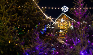 L. L. Bean Northern Lights, Photo Credits: Serena Folding