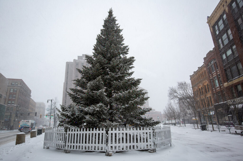 Monument Square Christmas Tree, Photo Credits: Serena Folding