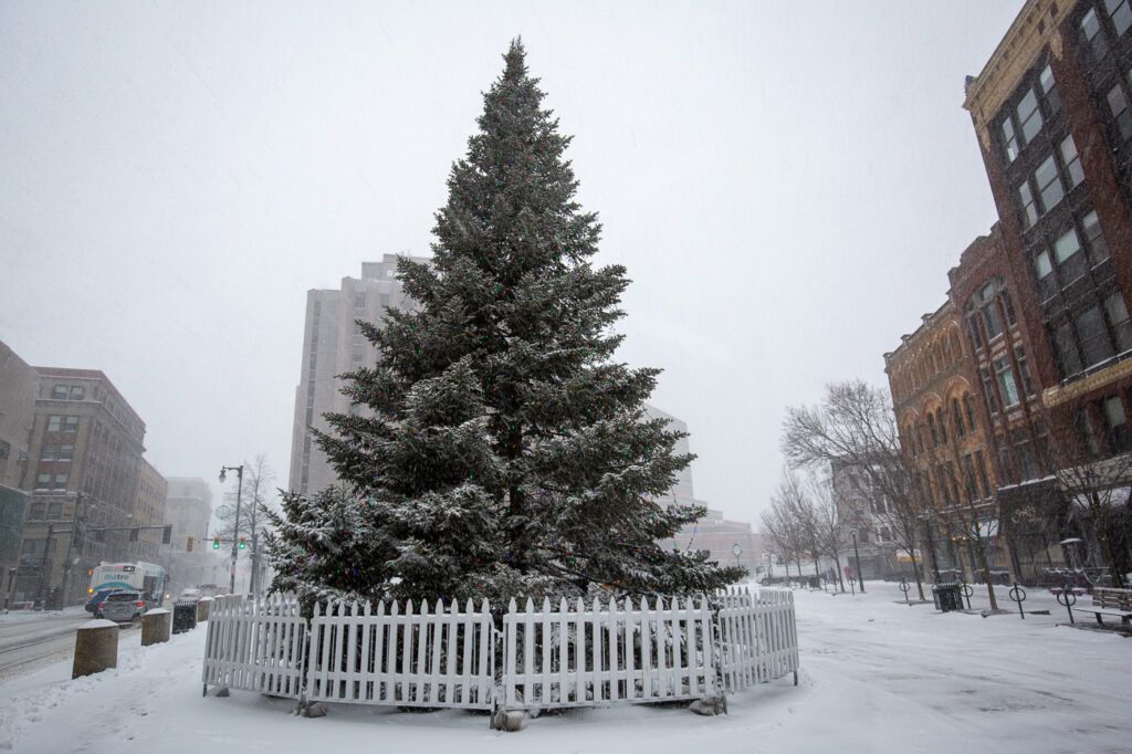 Monument Square Christmas Tree, Photo Credits: Serena Folding Monument Square Christmas Tree, Photo Credits: Serena Folding