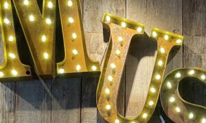 Muse PaintBar, Photo Credits: Serena Folding