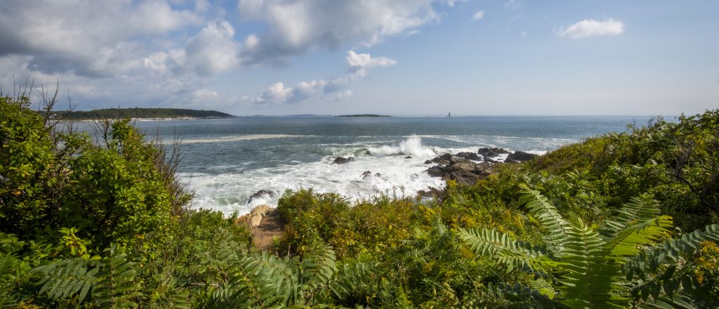 Fort Williams Park Photo Credits: Serena Folding 