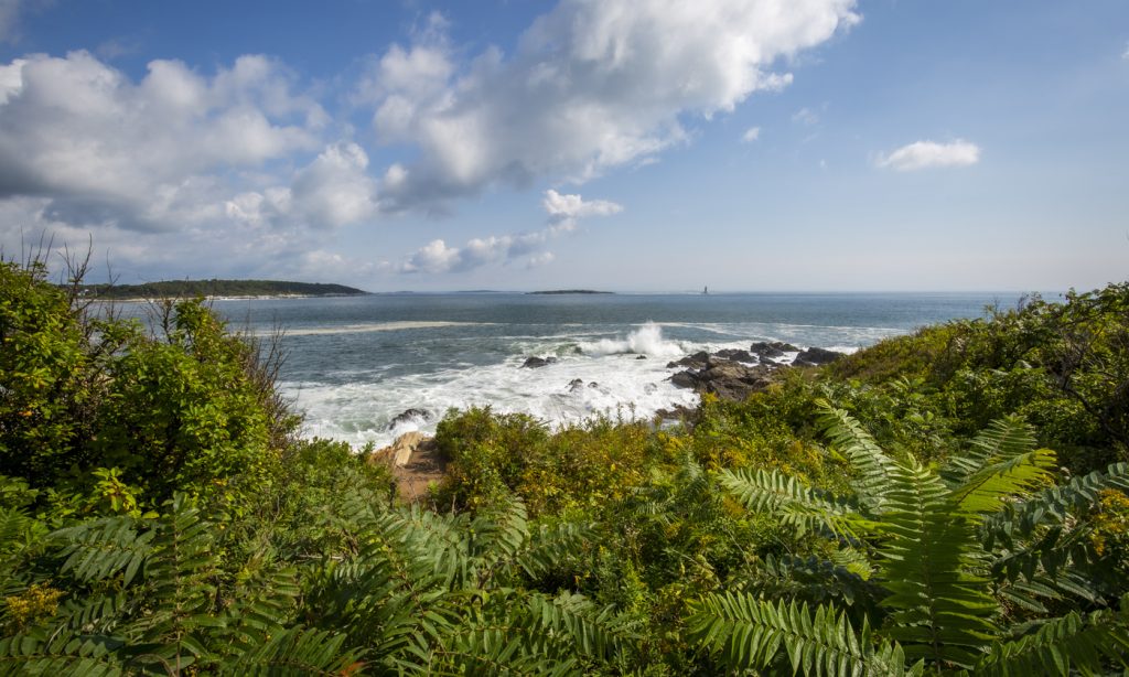 Ocean View from Fort Williams Park, Photo Credits: Serena Folding