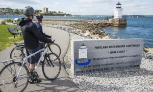 Bug Light. Photo Credit: Chris Riccardo