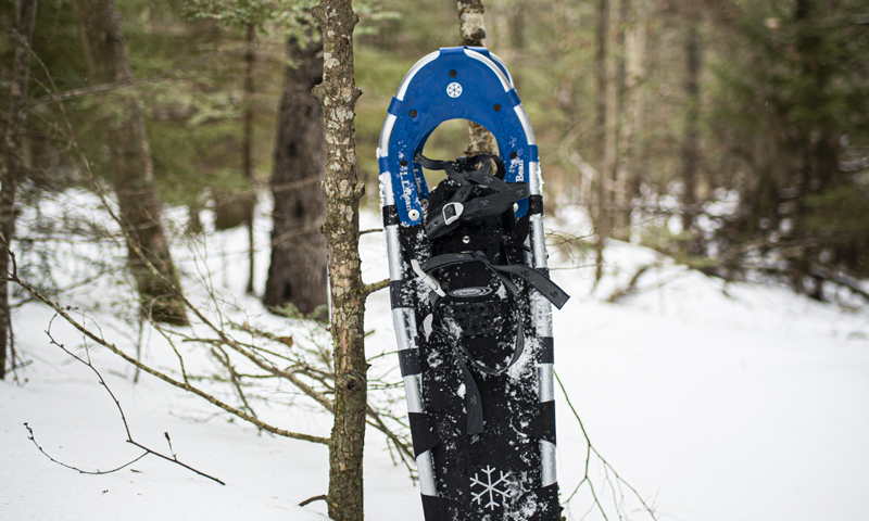 Snowshoe at Wolfe Neck Woods State Park, Photo Credit: Capshore Photography
