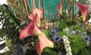 Art in Bloom PMA, Photo Credits: Brigitta Jenner