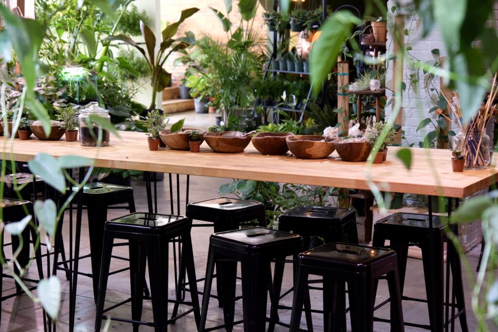 Terrarium. Photo Credit: Anna Sinnott Terrarium. Photo Credit: Anna Sinnott