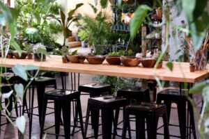 Terrarium. Photo Credit: Anna Sinnott