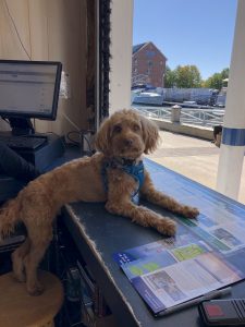 Pumpkin @ Booth, Photo Credits: B. Frappier