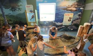 Tidal Shores Exhibit. Photo Provided by Children's Museum and Theatre of Maine