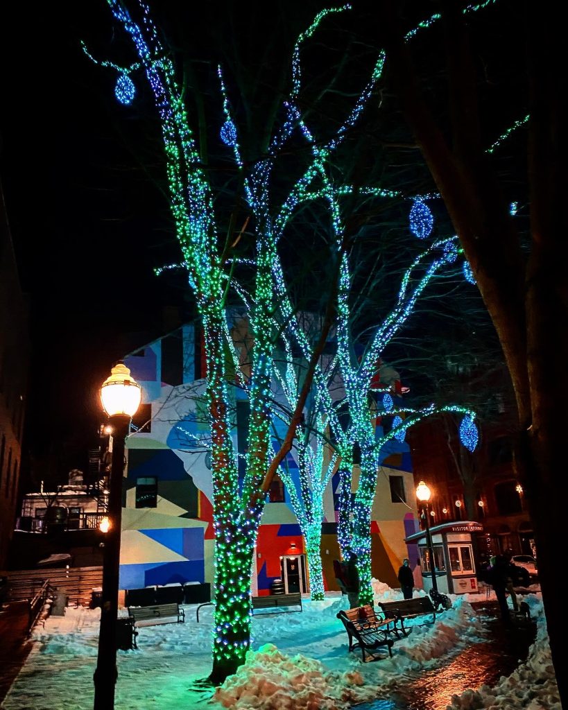 Pandora Lights in Portland, Photo Credits: Allison New